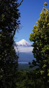 a view of a mountain from between two trees at Ampe Lodge in Puerto Varas