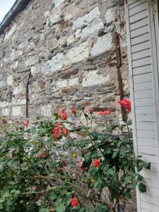 a brick wall with red flowers next to a window at Maison Angers bord de loire, rue Jules Quelin in Les Ponts-de-Cé +1 photo
