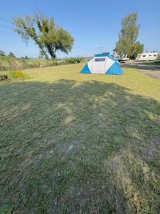 a tent on a grass field with a tree in the background at Przystań Lubikowo in Lubikowo +15 photos