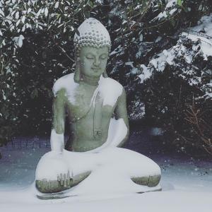 a statue of a buddha sitting in the snow at B&B Sonnegaerde in Arnhem +6 photos