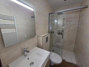 a bathroom with a shower and a sink and a toilet at Le Nid d'Étoiles in Schiltigheim