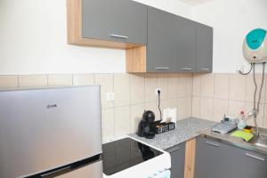a kitchen with a refrigerator and a counter top at City Apartman 101 in Bosanski Brod +12 photos