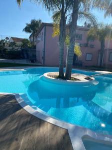 a swimming pool with a palm tree in the middle at Vila das Pétalas in Portimão