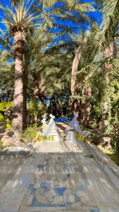 a stone walkway with palm trees in a park at Dar hania in Tozeur +3 photos