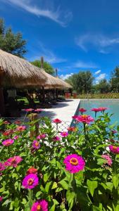 a bunch of pink flowers in front of a pool at Aypa Pacha Nono in Nono