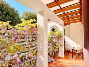 a patio with flowers on a fence at Villa Dolce Vita in San Vincenzo