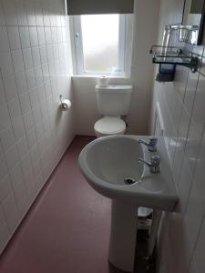 a small bathroom with a sink and a toilet at Aboukir Hotel in Panbride