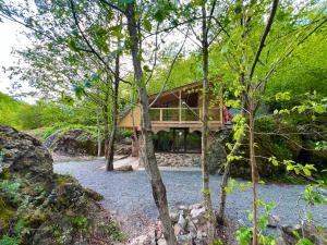 a house in the woods with trees at kirke in Tsesi