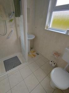 a bathroom with a shower and a toilet and a sink at Kates coastal cottage in Aillemore