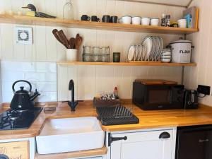 a kitchen counter with a sink and a microwave at Orchard House Holiday in Bungay