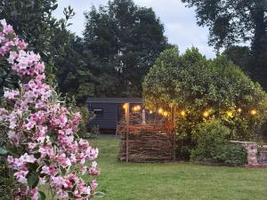 a garden with a shed and a bunch of flowers at Orchard House Holiday in Bungay