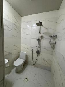 a bathroom with a toilet and a shower at Delfin Hotel Restaurant Spa Ailevi in Ganja +38 photos
