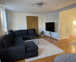 a living room with a blue couch and a flat screen tv at Spacious flat 15 min to the beach in Falkenberg