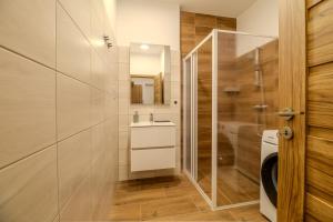 a bathroom with a shower and a sink and a toilet at Ubytování U Lesíka in Znojmo +49 photos