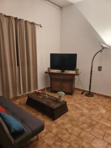 a living room with a tv and a couch at Ferme Auberge U Cantu d'Adelio in Olivese