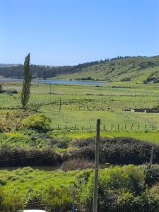 eine grüne Wiese mit einem Zaun und einem Fluss in der Unterkunft Humedal2 in El Culenar