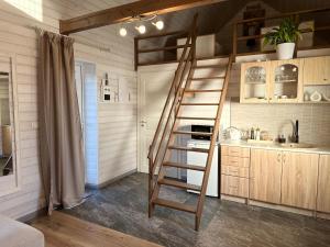 a loft bed in a tiny kitchen with a sink at Leia Kodu Private Garden House with Terrace & Parking in Rakvere in Rakvere