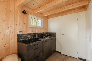 a bathroom with a sink and a window at Tiny House in Kesteren