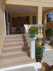 a front porch with stairs and potted plants at Dimitris House Petriti in Petrití