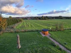 an empty field with an umbrella in the grass at Mazurskie Ranczo in Bogaczewo