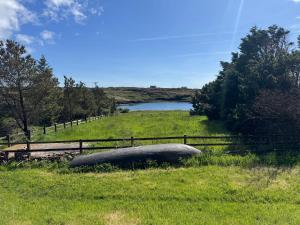 a boat in a field with a fence and a lake at Kermor B&B in Claddaghduff +4 photos