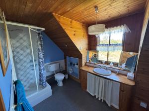a bathroom with a sink and a shower and a toilet at Kermor B&B in Claddaghduff