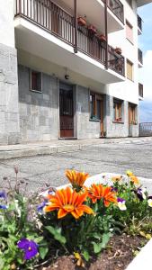 a flower bed in front of a building at Casa Pioda in Chiomonte +31 photos