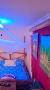 a bedroom with a bed and a beam of light at Antique Lodge in Arusha