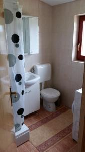 a bathroom with a toilet and a sink at Apartments Ema Vir in Vir +67 photos