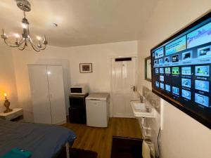a room with a large flat screen tv on a wall at Spacious Double Room with own Sink in Colindale