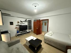 a living room with a couch and a tv at Vila Katerina Qeparo in Qeparo