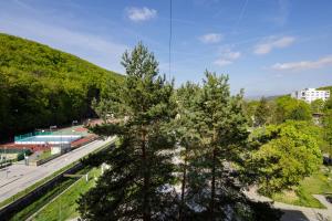 an overhead view of a park with trees and a building at Apartmán Brezy in Martinske Hole +2 photos