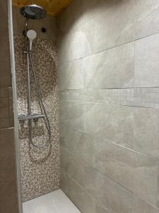 a shower in a bathroom with a stone wall at Le cocon alpin in Passy