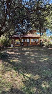 a house with a tree in front of it at Casa Guemes in Merlo +1 photo