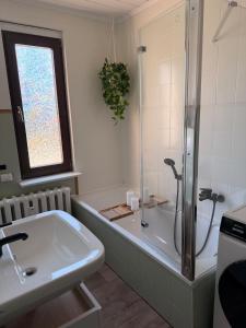 a bathroom with a shower and a tub and a sink at Ferienwohnung Börnecker Landruhe in Börnecke +16 photos