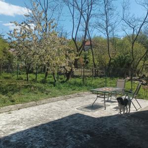 a dog standing next to a table and a chair at Refugiul din Cozieni in Cozieni +12 photos