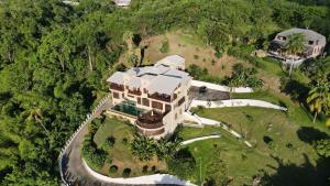an overhead view of a large house in the forest at Villa Azulejo in Black Rock