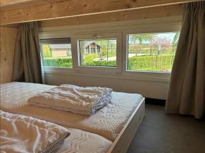 a bedroom with two beds in front of a window at Tiny House in Kesteren