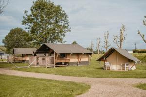 eine Gruppe von Hütten auf einem Feld mit Gras in der Unterkunft Safaritent Mini Lodge in Kesteren