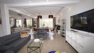 a living room with a couch and a large tv at Rubens Loft four bedrooms two bathrooms in Antwerp