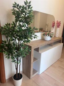 a bathroom with a table with a plant on it at TERRACINA Central Rooms in Terracina