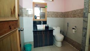 a bathroom with a toilet and a sink and a mirror at Hotel DE Suzain-Leh in Leh