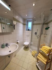 a bathroom with a sink and a shower and a toilet at Rennerhof-Siebeneichen Fewo Laubfrosch in Sulzbach-Rosenberg