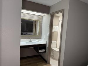 a bathroom with a sink and a mirror and a toilet at Red Roof Inn Helen, GA - Downtown in Helen