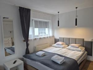 a bedroom with a bed with two pillows and a mirror at Noclegi Piaskowa 44 in Nowa Karczma