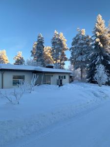 a house covered in snow with trees in the background at Aurora House in Pello
