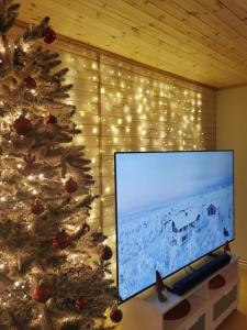 a living room with a christmas tree and a flat screen tv at Aurora House in Pello