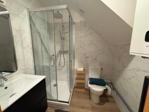a bathroom with a shower and a toilet and a sink at Marne appartements in Nogent-sur-Marne