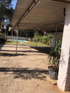 a patio with a plant in a pot next to a building at Chácara Volito in Cotia