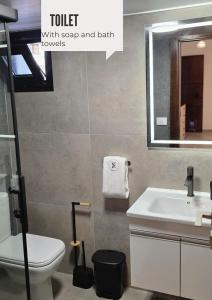 a bathroom with a toilet and a sink and a mirror at Domaine De Faraya F2 in Nab‘ al Maghārah +5 photos